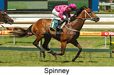 Spinney (14772 bytes)