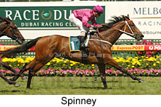 Spinney (17473 bytes)