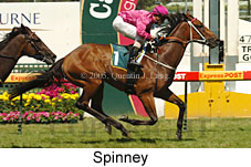 Spinney (14772 bytes)