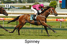 Spinney (14772 bytes)