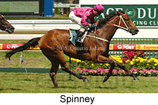 Spinney (14772 bytes)