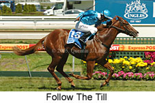 Follow The Till (17473 bytes)