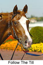 Follow The Till (14772 bytes)