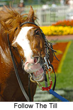 Follow The Till (14772 bytes)