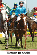 Return to scale (14008 bytes)