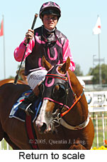 Return to scale (14008 bytes)