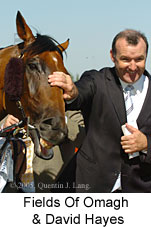 David Hayes & Fields of Omagh (14772 bytes)