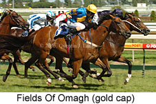 Fields of Omagh (14772 bytes)