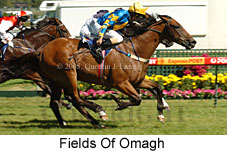 Fields of Omagh (14772 bytes)