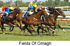 Fields of Omagh (14772 bytes)