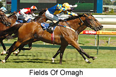 Fields of Omagh (14772 bytes)