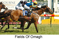 Fields of Omagh (14772 bytes)