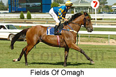 Fields of Omagh (14772 bytes)