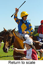 Return to scale (14008 bytes)