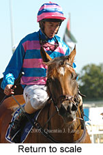 Return to scale (14008 bytes)