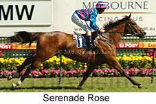 Serenade Rose (14772 bytes)