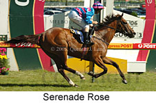 Serenade Rose (14772 bytes)