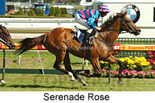 Serenade Rose (14772 bytes)