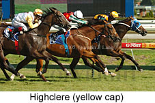 Highclere (14772 bytes)