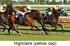Highclere (14772 bytes)