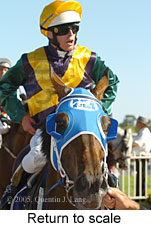 Return to scale (14008 bytes)