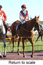 Return to scale (14008 bytes)