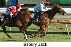 Tesbury Jack (14772 bytes)