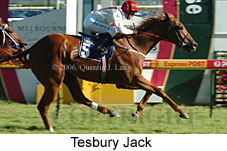 Tesbury Jack (14772 bytes)