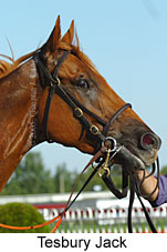 Tesbury Jack (14772 bytes)