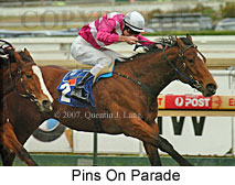 Pins On Parade (14772 bytes)