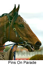 Pins On Parade (14772 bytes)