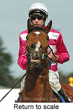 Return to scale (14008 bytes)