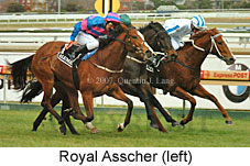 Royal Asscher (14772 bytes)