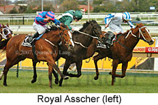 Royal Asscher (14772 bytes)