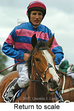 Return to scale (14008 bytes)