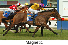 Magnetic (14772 bytes)