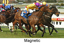 Magnetic (14772 bytes)