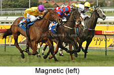 Magnetic (14772 bytes)