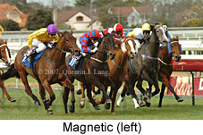 Magnetic (14772 bytes)