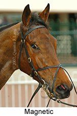 Magnetic (14772 bytes)