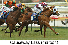 Causeway Lass (14772 bytes)