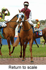 Return to scale (14008 bytes)