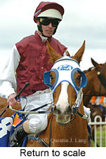 Return to scale (14008 bytes)