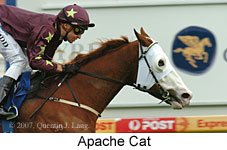 Apache Cat (14772 bytes)