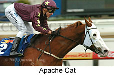 Apache Cat (14772 bytes)