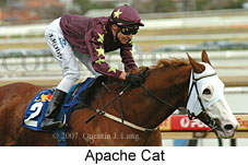 Apache Cat (14772 bytes)