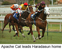 Apache Cat (17571 bytes)