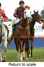 Return to scale (14008 bytes)