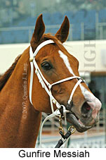 Gunfire Messiah (14772 bytes)