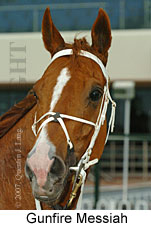 Gunfire Messiah (14772 bytes)
